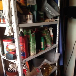 Ingeborg Trask-Baardman | before - 02